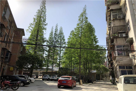 诸城市西郊教师公寓2室1厅1卫70㎡